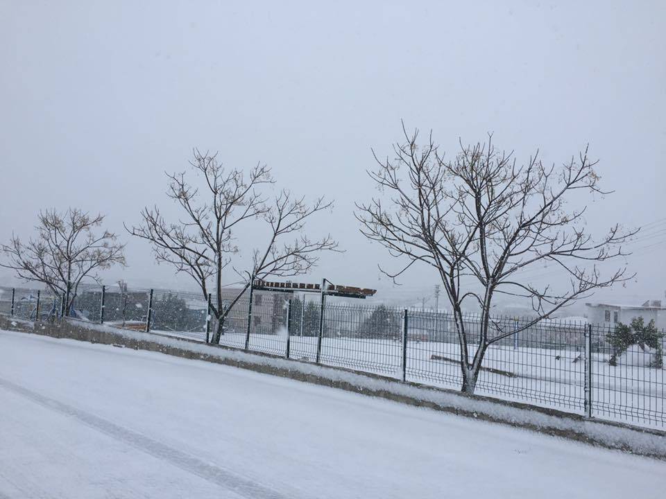 Lüleburgaz Evrensekiz Beldesi Resimleri 8