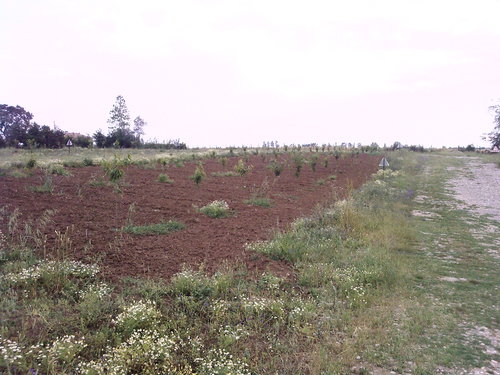 Safranbolu Sarıköy Köyü Resimleri 2