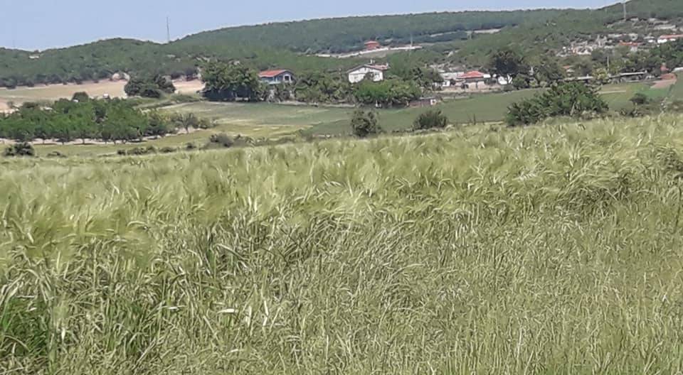 Vize Akpınar Köyü Resimleri 11