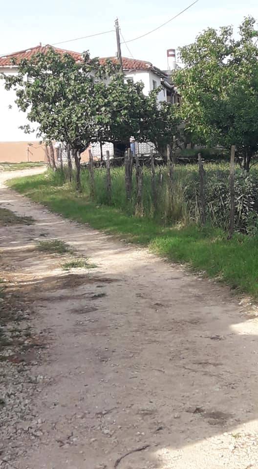 Vize Akpınar Köyü Resimleri 12