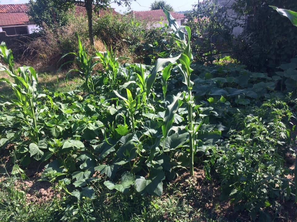 Vize Akpınar Köyü Resimleri 13