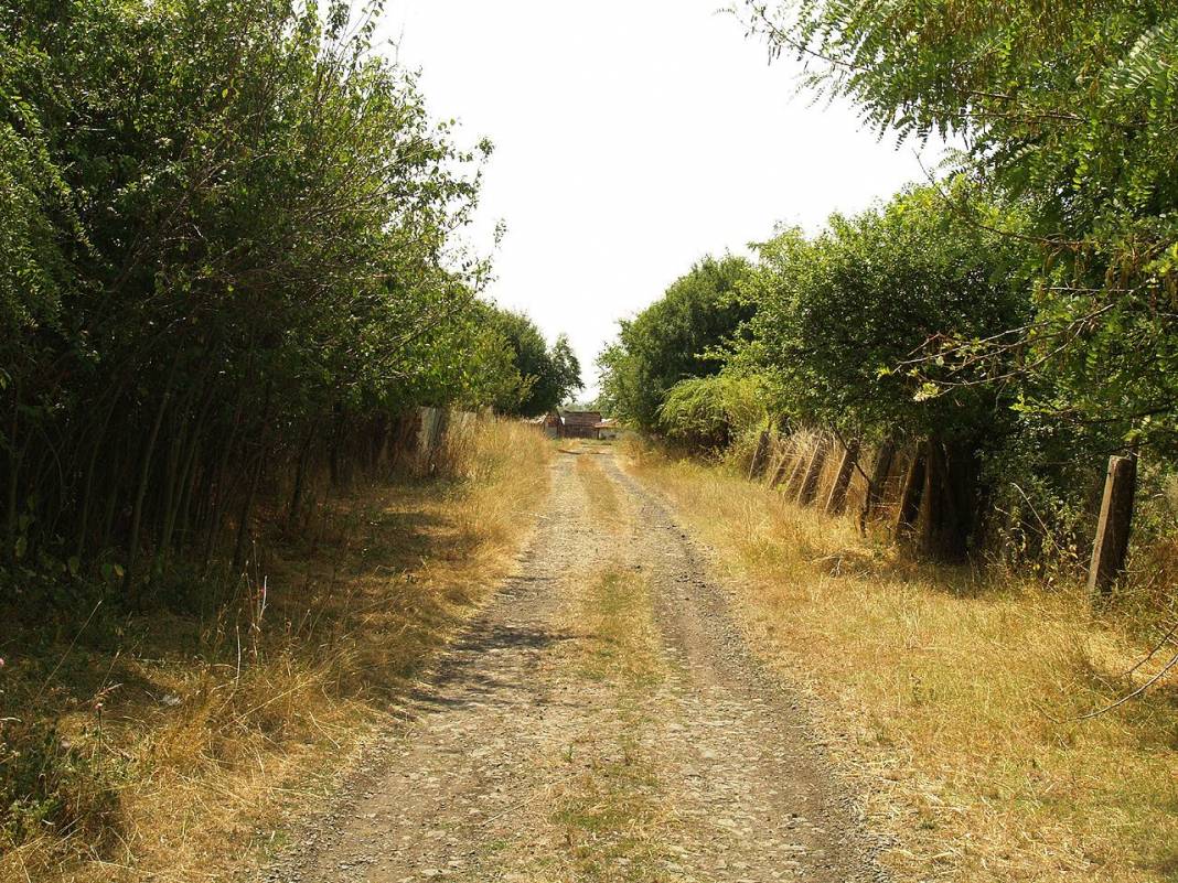 Vize Akpınar Köyü Resimleri 17