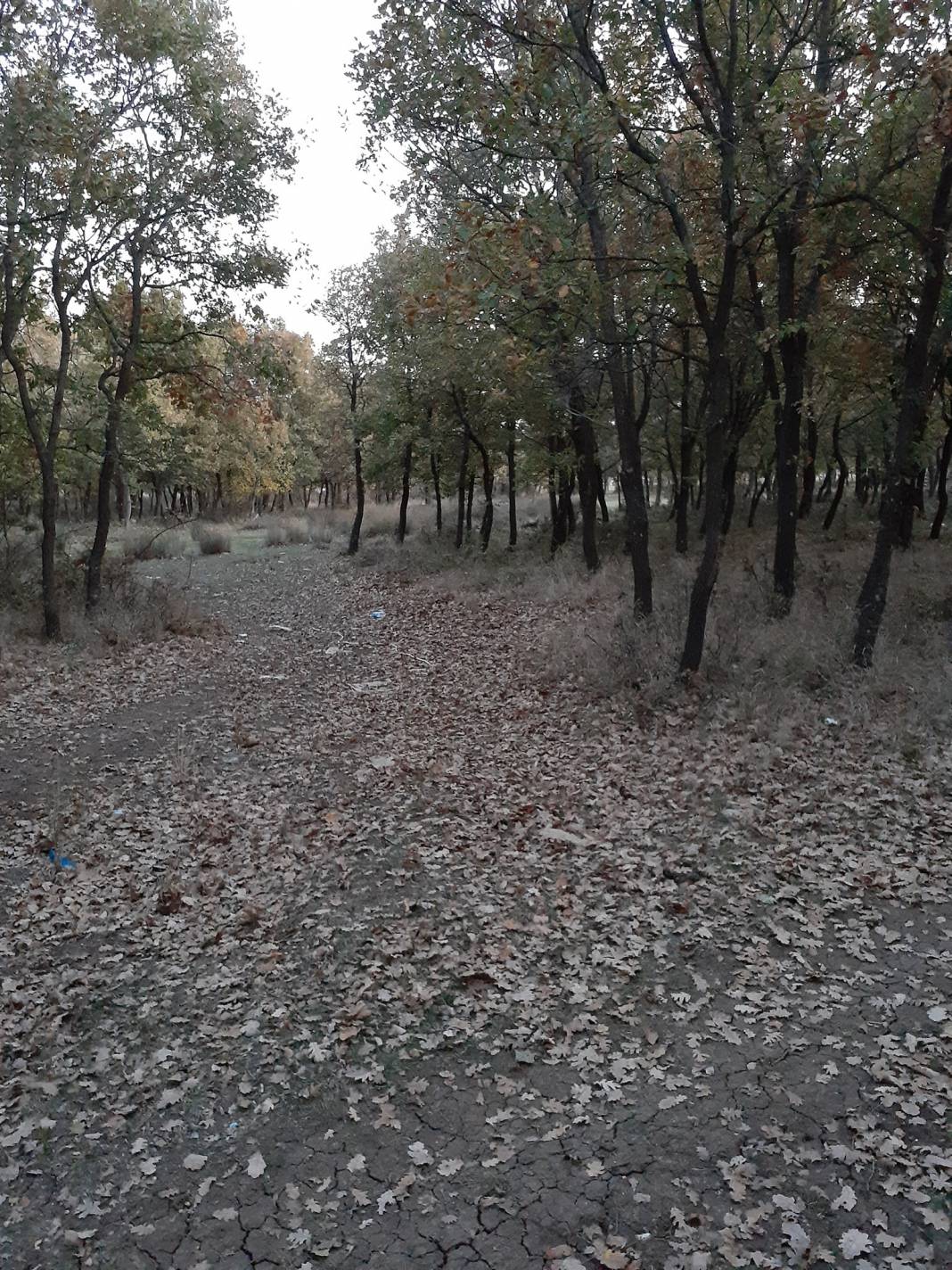 Vize Çövenli Köyü Resimleri 11