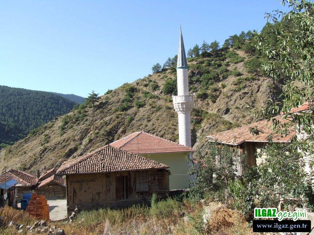 Ilgaz Arpayeri Köyü Resimleri 8