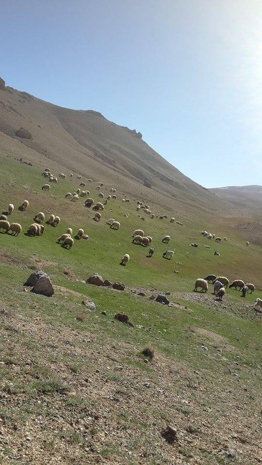 Başkale Kızılca Köyü Resimleri 1