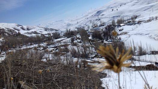 Başkale Köprüağzı Köyü Resimleri 3