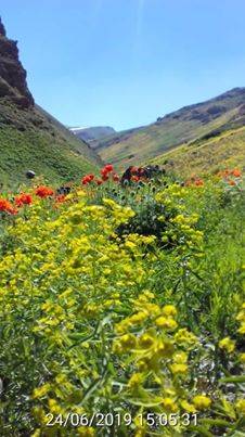 Başkale Köprüağzı Köyü Resimleri 4