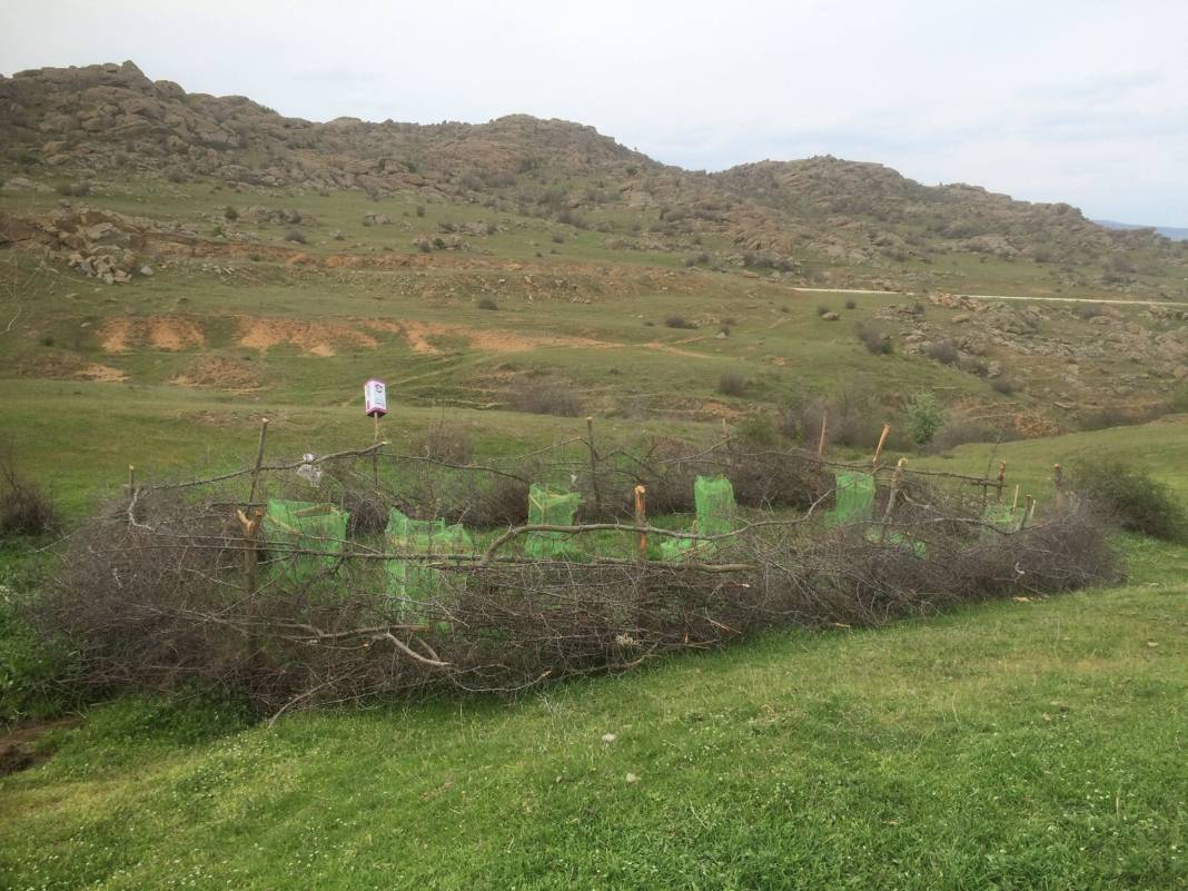 Kırklareli Kayalı Köyü Resimleri 1
