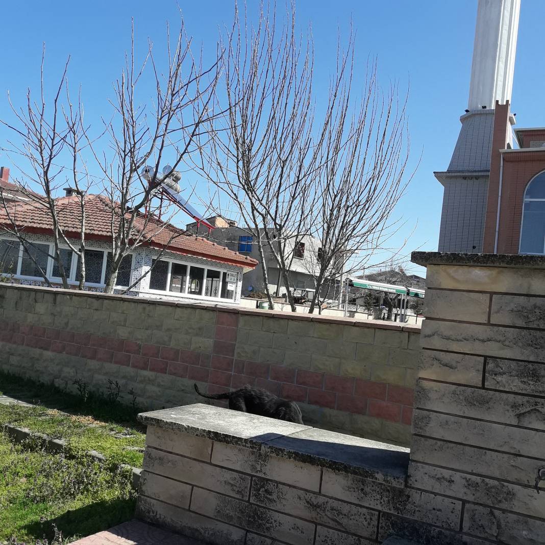 Kırklareli Kayalı Köyü Resimleri 11