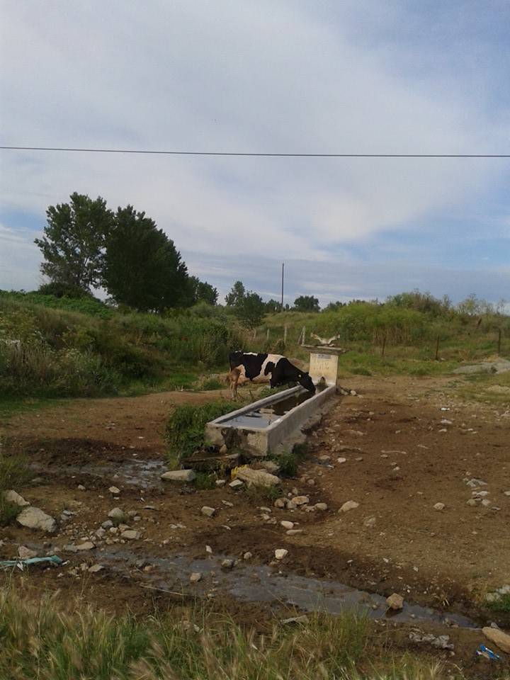 Kırklareli Kayalı Köyü Resimleri 3