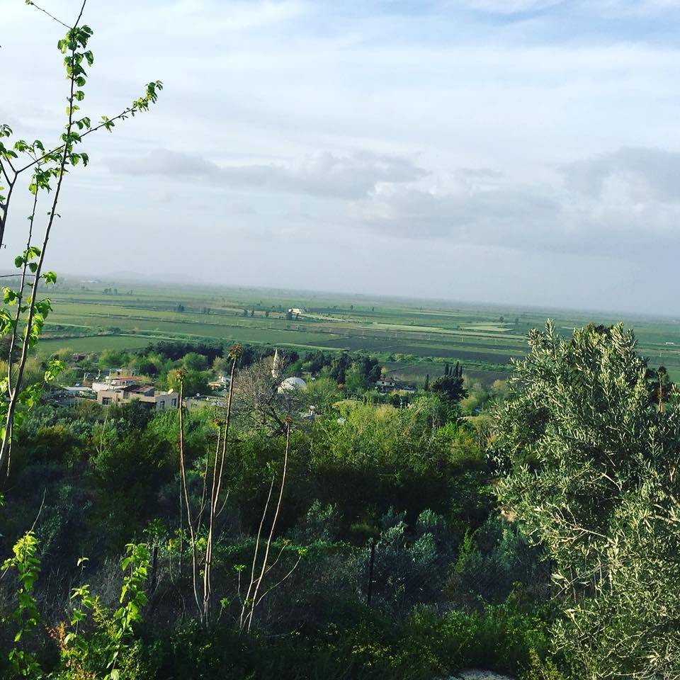 Ceyhan Azizli Köyü Resimleri 13