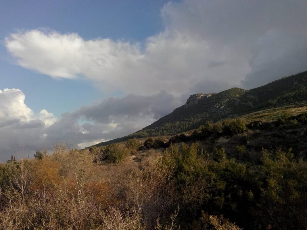 Ceyhan Azizli Köyü Resimleri 15