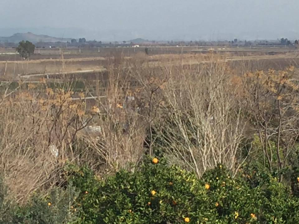 Ceyhan Azizli Köyü Resimleri 6