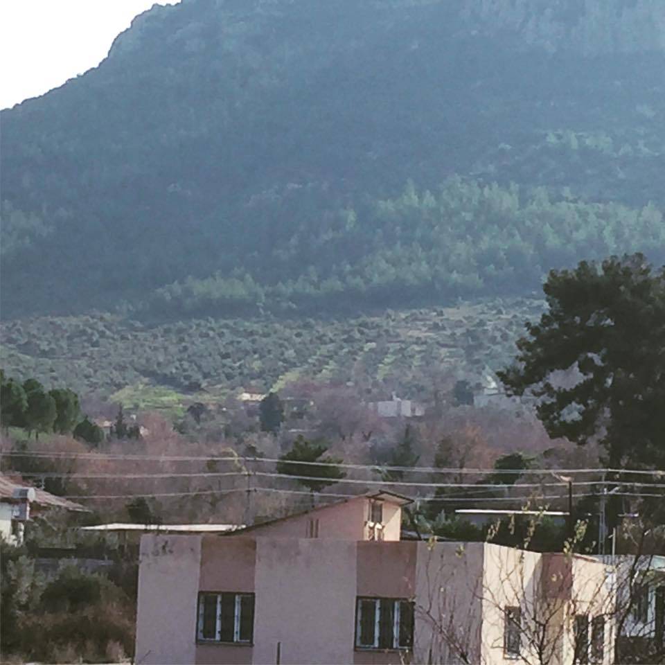 Ceyhan Azizli Köyü Resimleri 9