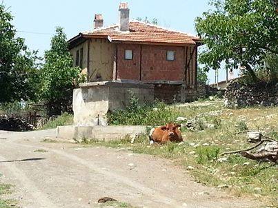 Safranbolu Yolbaşı Köyü Resimleri 2