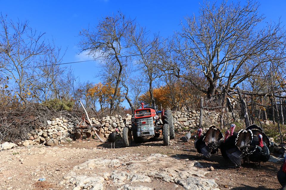 Safranbolu Yolbaşı Köyü Resimleri 7