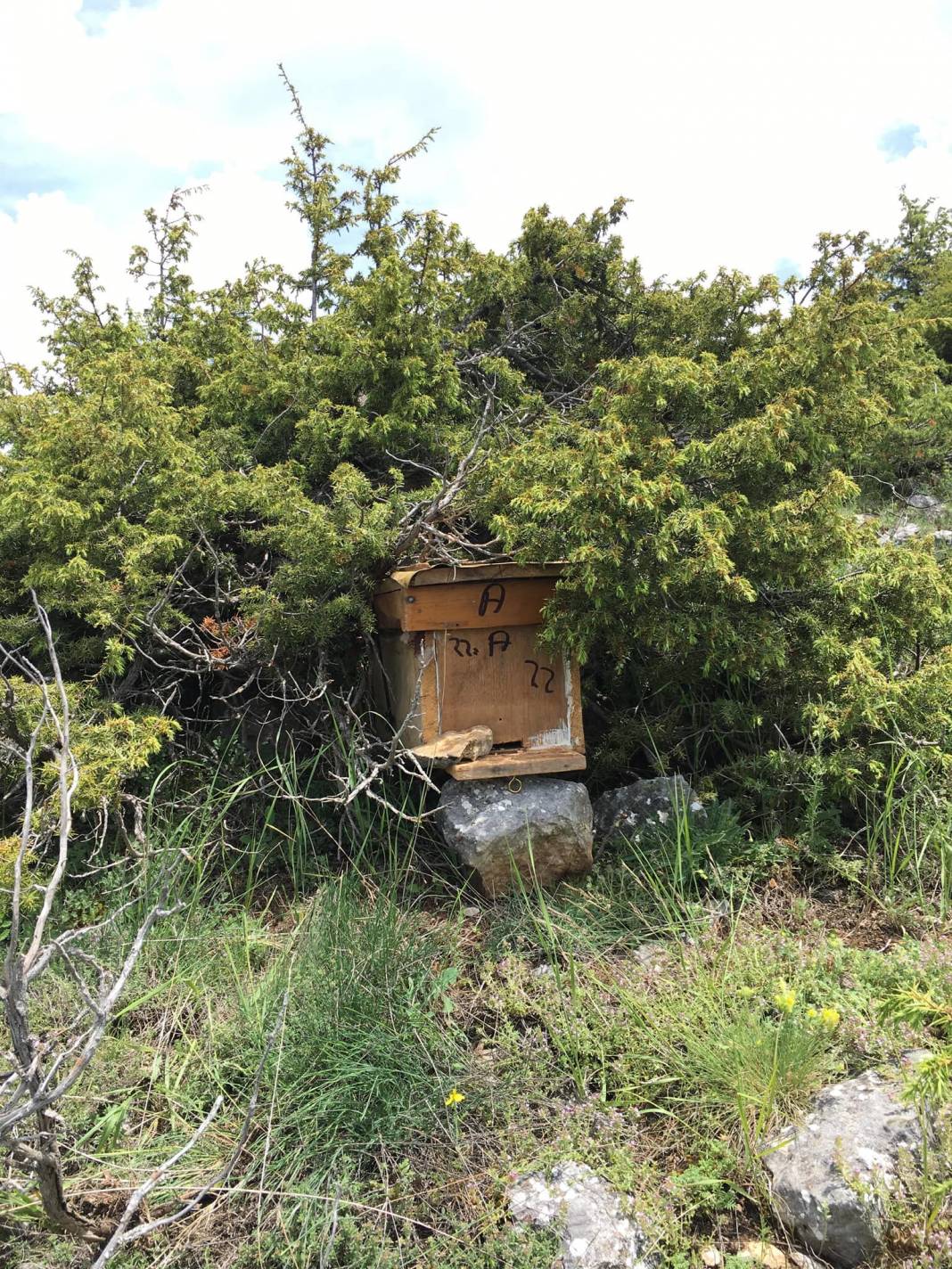 Ilgaz Balcı Köyü Resimleri 7