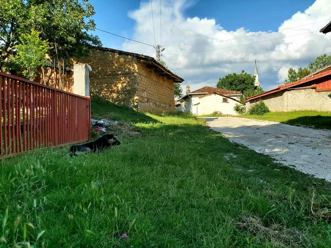 Ilgaz Belsöğüt Köyü Resimleri 7