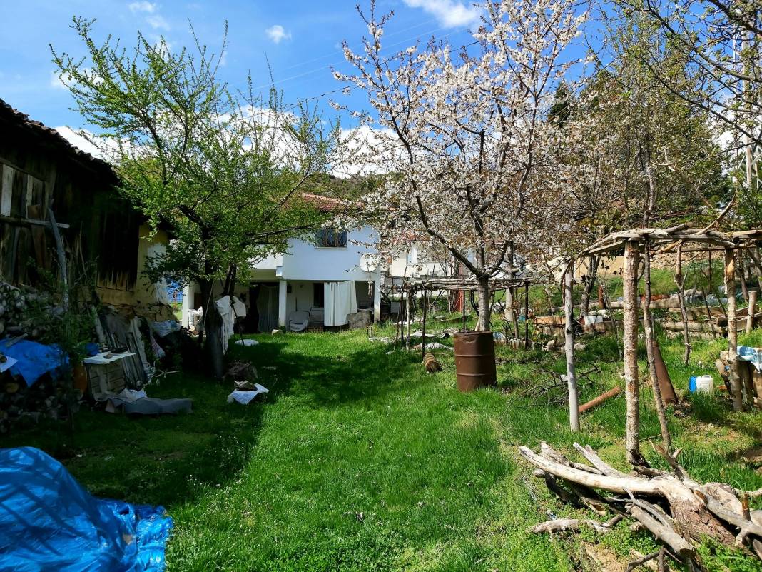 Ilgaz Belsöğüt Köyü Resimleri 8