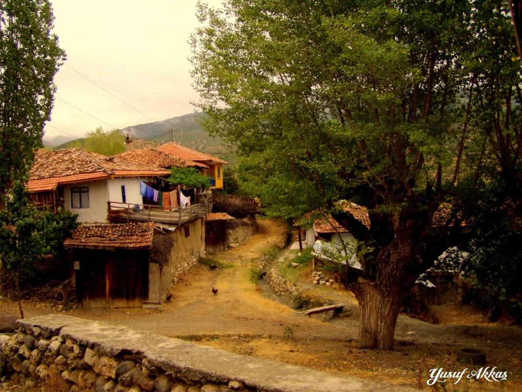 Ilgaz Bükçük Köyü Resimleri 7