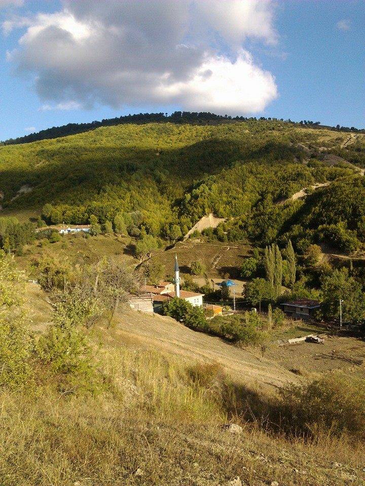 Ilgaz Çatak Köyü Resimleri 2