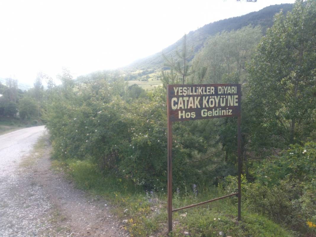 Ilgaz Çatak Köyü Resimleri 5