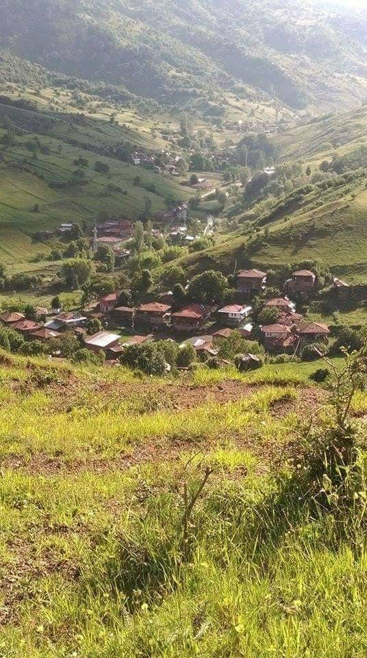 Ilgaz Çatak Köyü Resimleri 6