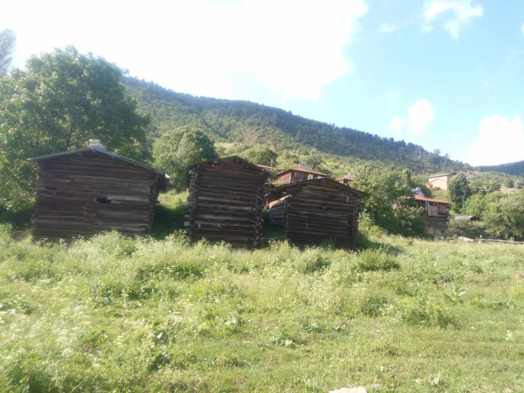 Ilgaz Çatak Köyü Resimleri 7