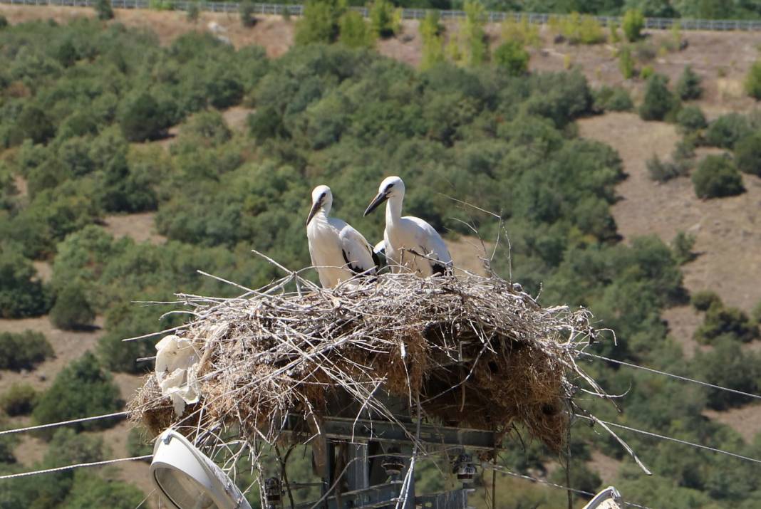 Ilgaz Çeltikbaşı Köyü Resimleri 10