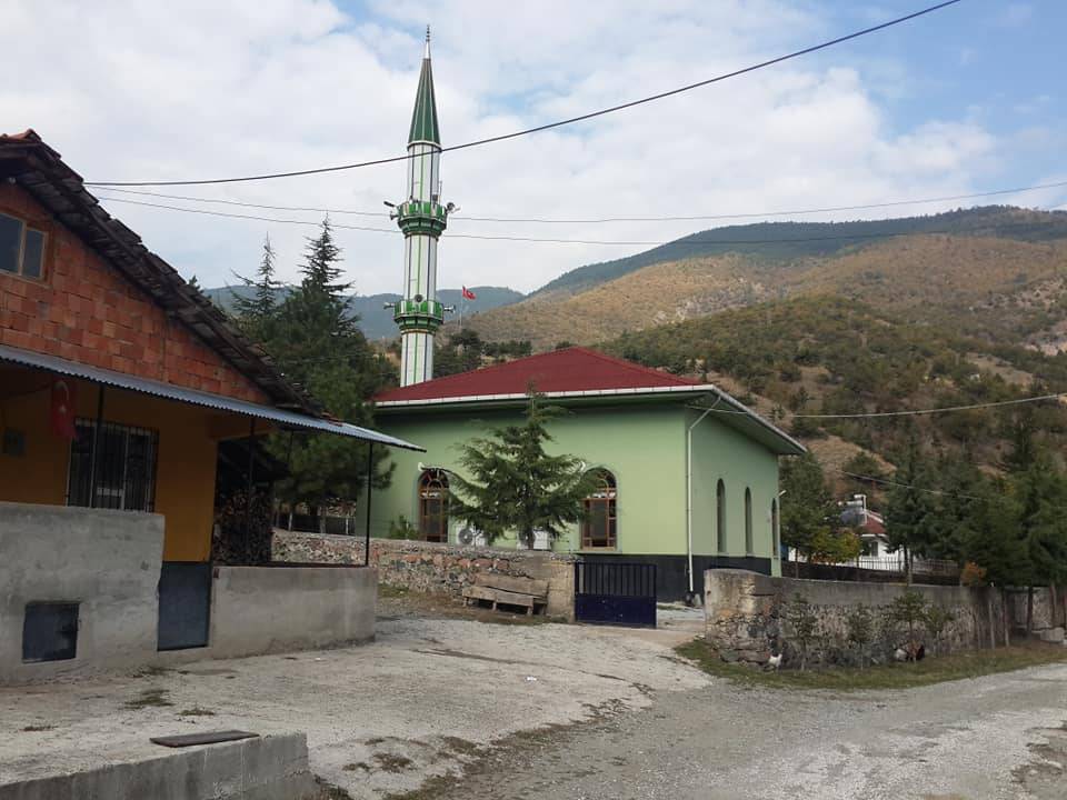 Ilgaz Çeltikbaşı Köyü Resimleri 3