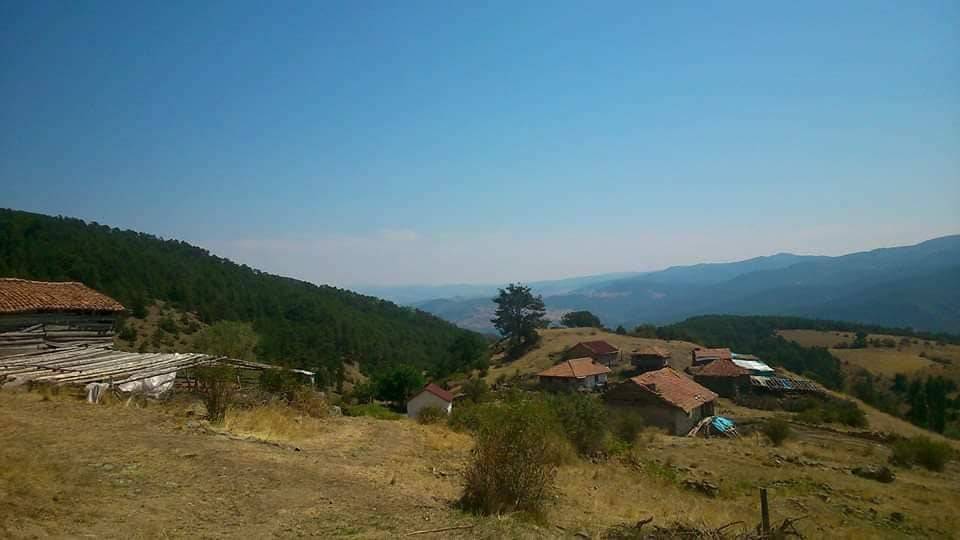 Ilgaz Çeltikbaşı Köyü Resimleri 7