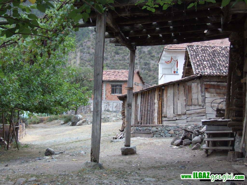 Ilgaz Çeltikbaşı Köyü Resimleri 8