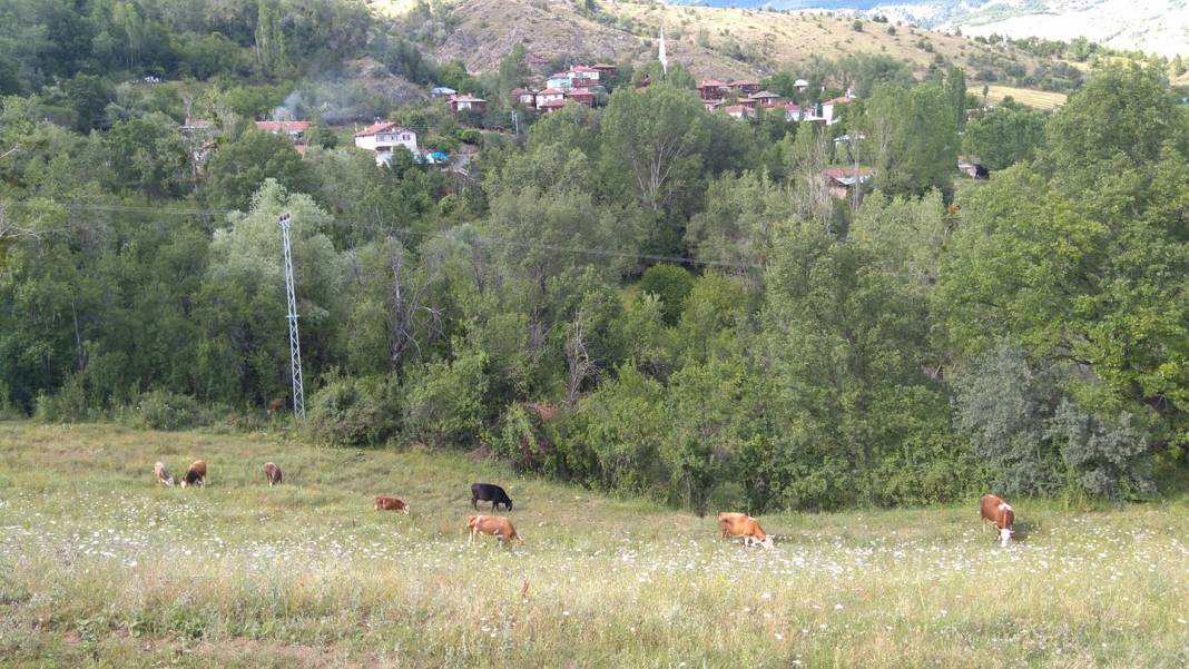 Ilgaz Danişment Köyü Resimleri 6