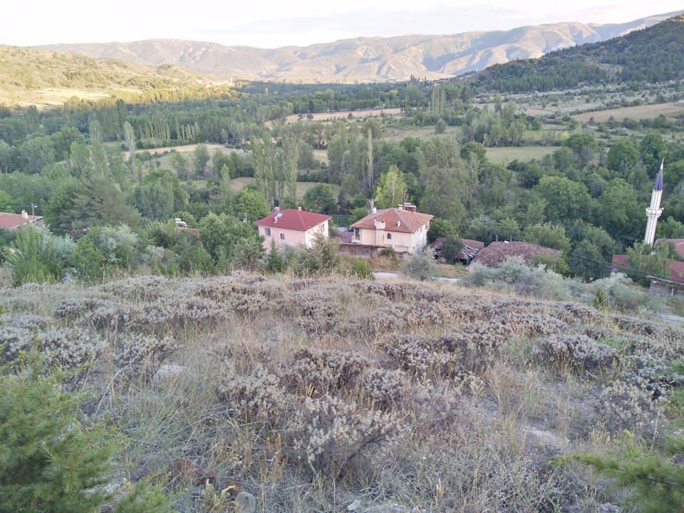 Ilgaz Eskice Köyü Resimleri 9