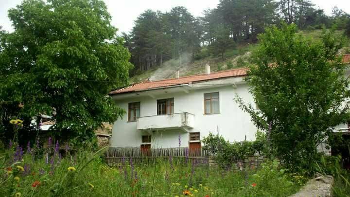 Ilgaz Gökçeyazı Köyü Resimleri 1