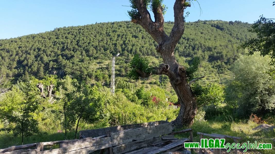 Ilgaz Gökçeyazı Köyü Resimleri 7
