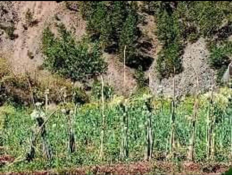 Ilgaz Ilısılık Köyü Resimleri 6