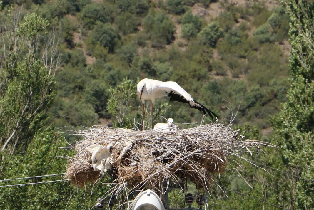 Ilgaz İnköy Köyü Resimleri 7