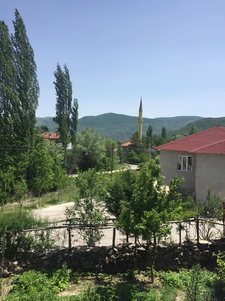 Ilgaz Kavaklı Köyü Resimleri 7