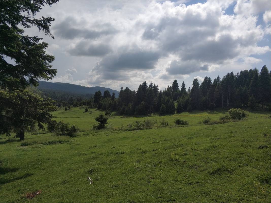 Ilgaz Kayı Köyü Resimleri 8