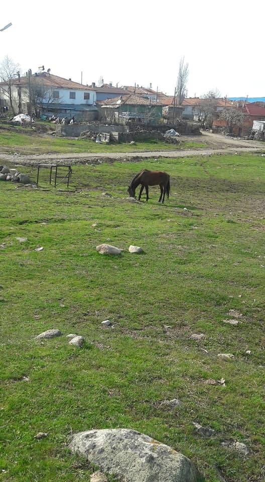 Ilgaz Kuşçayırı Köyü Resimleri 2