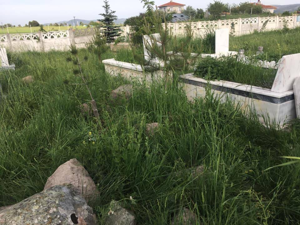 Ilgaz Kuyupınar Köyü Resimleri 1