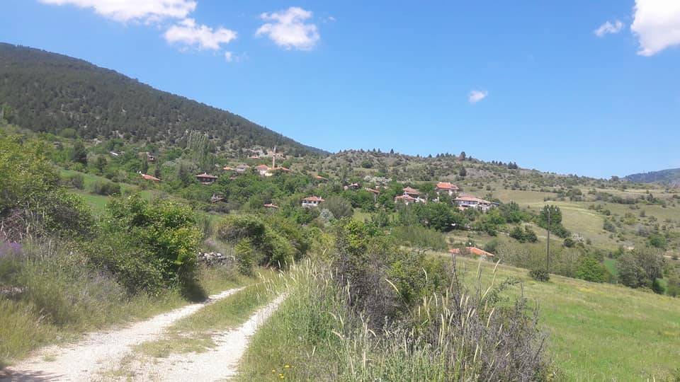 Ilgaz Onaç Köyü Resimleri 1