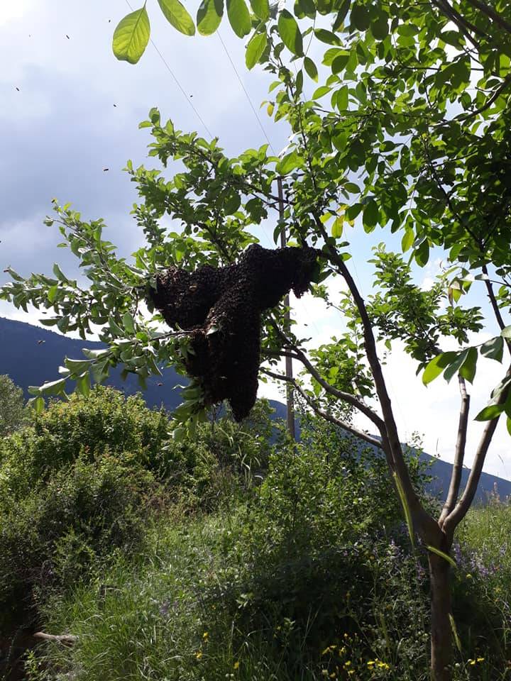 Ilgaz Onaç Köyü Resimleri 4