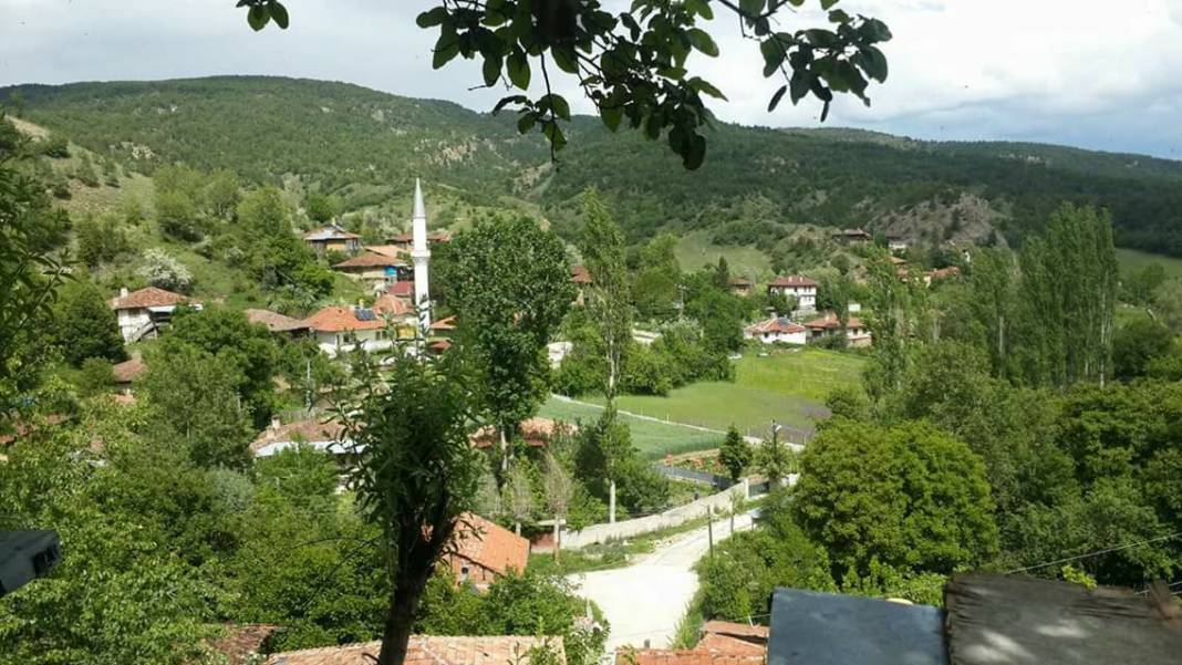 Ilgaz Ödemiş Köyü Resimleri 1
