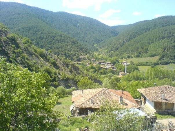 Ilgaz Sazak Köyü Resimleri 1