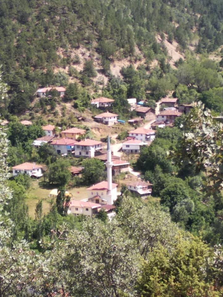 Ilgaz Sazak Köyü Resimleri 10