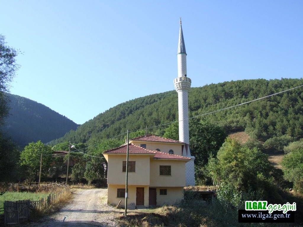 Ilgaz Sazak Köyü Resimleri 2