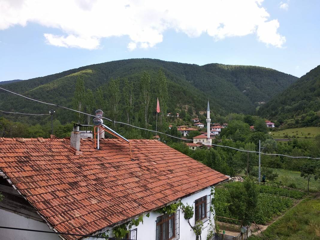 Ilgaz Sazak Köyü Resimleri 3