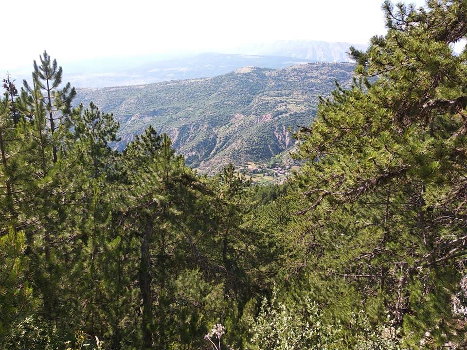 Ilgaz Sazak Köyü Resimleri 4